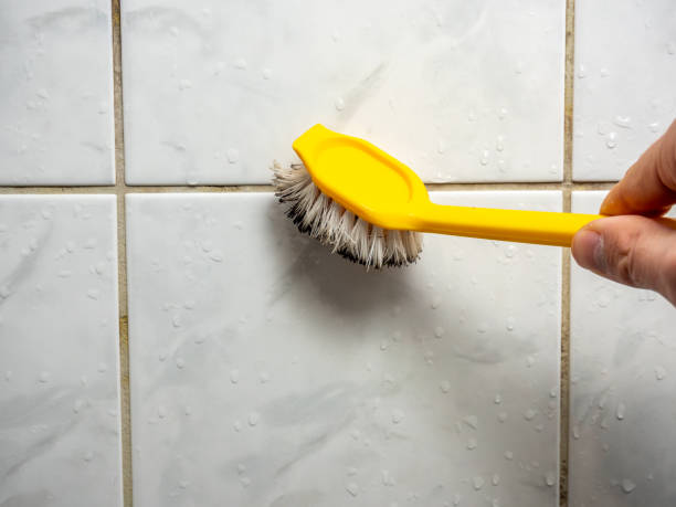 Best Mold Testing  in Glenn Heights, TX