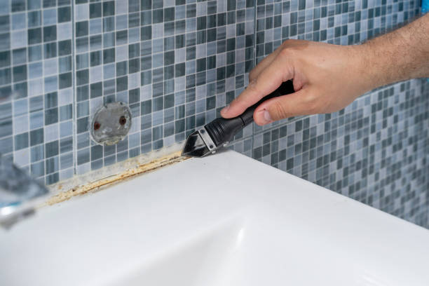 Best Same-Day Mold Removal  in Glenn Heights, TX